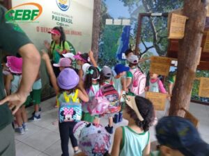 educacao-infantil-aula-de-campo-parque-nacional-do-pau-brasil-e-cidade-historica-gb11-1572894306mtu3mjg5ndmwng
