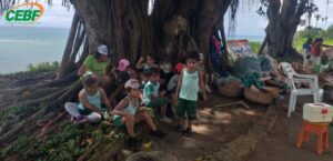 educacao-infantil-aula-de-campo-parque-nacional-do-pau-brasil-e-cidade-historica-gb11-1572894413mtu3mjg5ndqxmw