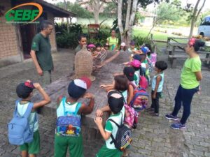 educacao-infantil-aula-de-campo-parque-nacional-do-pau-brasil-e-cidade-historica-gb2-1572894336mtu3mjg5ndmzng