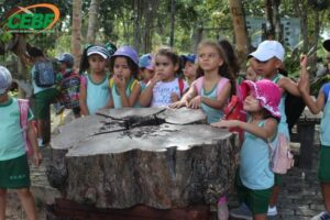 educacao-infantil-aula-de-campo-parque-nacional-do-pau-brasil-e-cidade-historica-gb4-1572894306mtu3mjg5ndmwng