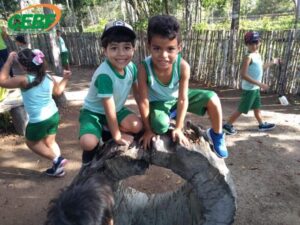 educacao-infantil-aula-de-campo-parque-nacional-do-pau-brasil-e-cidade-historica-gb5-1572894336mtu3mjg5ndmzng