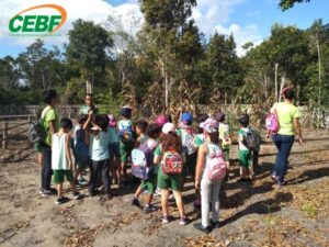educacao-infantil-aula-de-campo-parque-nacional-do-pau-brasil-e-cidade-historica-gb7-1572894336mtu3mjg5ndmzng