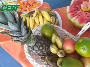 projeto-alimentacao-saudavel-folia-fruta-2020-131
