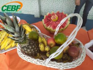 projeto-alimentacao-saudavel-folia-fruta-2020-gb9-1582853803mtu4mjg1mzgwmw